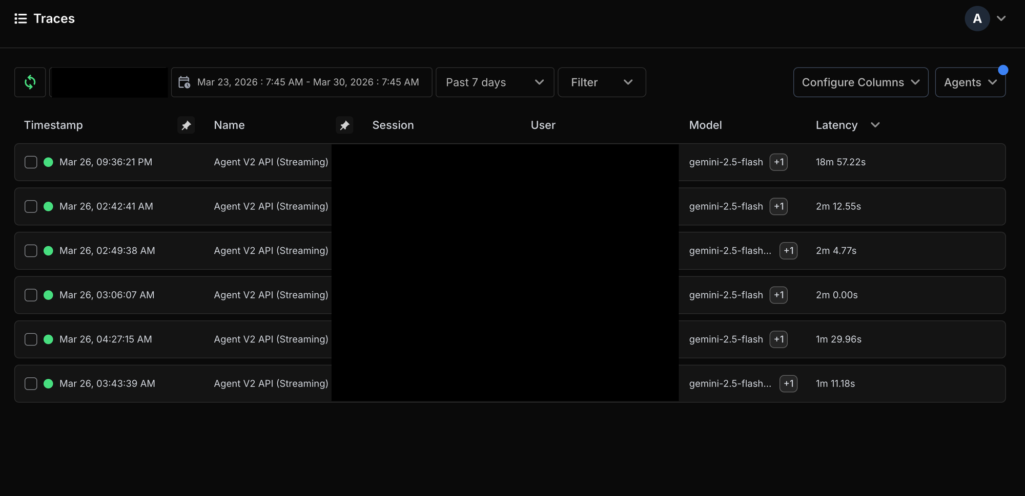 Netra made it easy to narrow a noisy set of executions down to the exact invocation by timestamp, model, and latency before drilling into the trace details.
