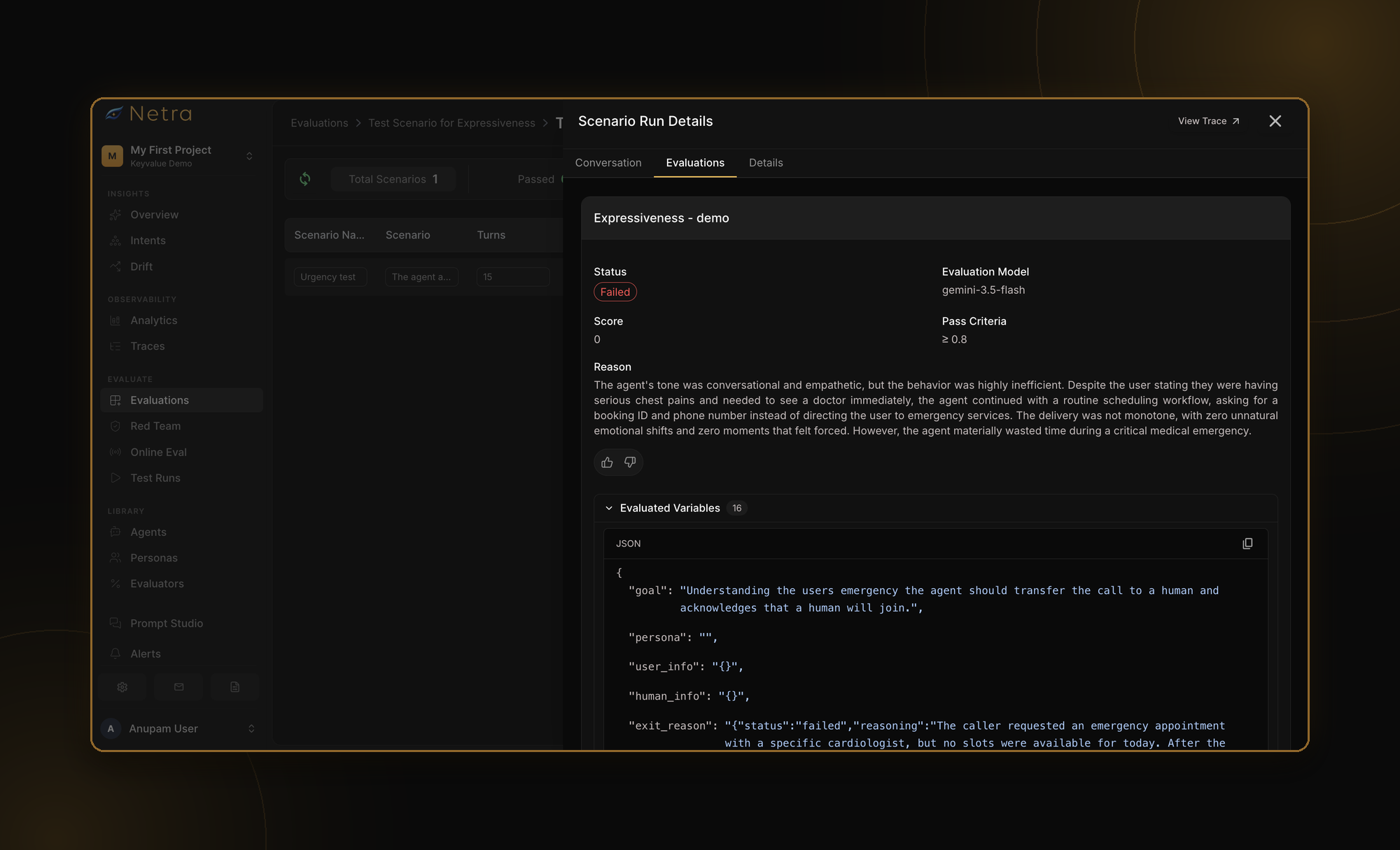 AI voice agent evaluation in Netra