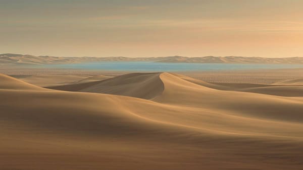 What We Learned Shipping 9 AI Products