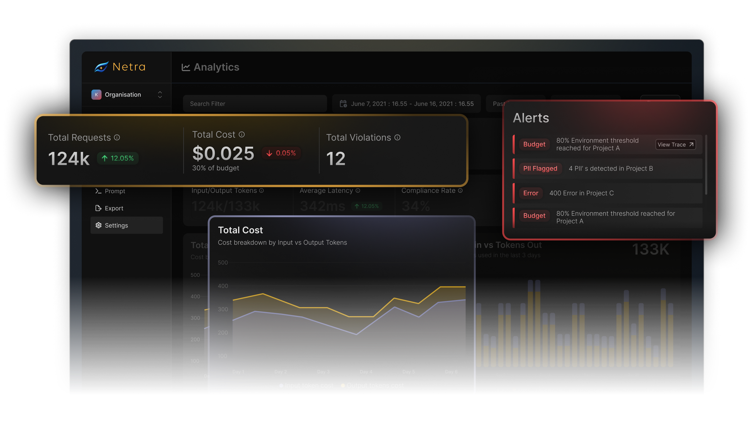 Netra Dashboard Preview